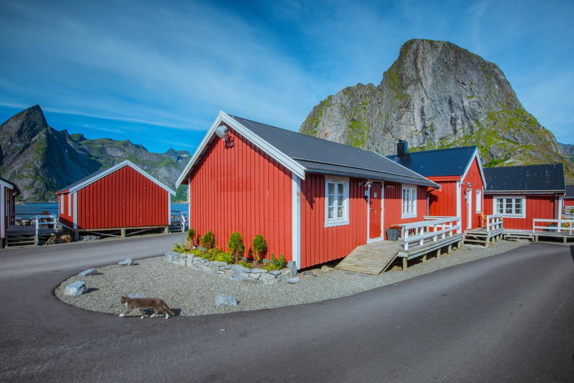 Eliassen Rorbuer Hotel Reine Eksteriør billede